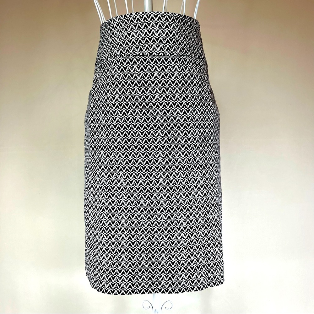 Monday Morning Skirt